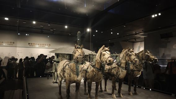 【私家團/獨立導覽/一家一團】秦始皇帝陵博物院(兵馬俑)+秦始皇帝陵博物院-麗山園+華清宮一日遊