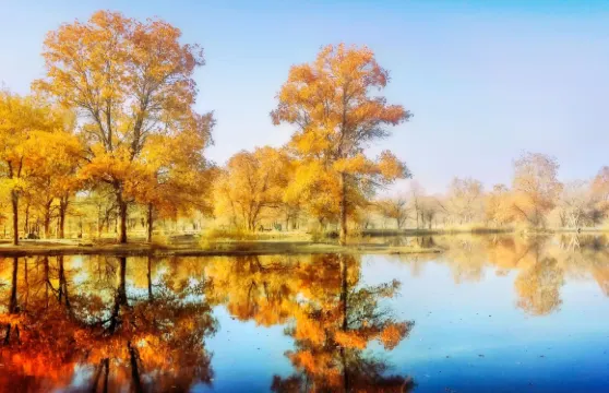 新疆南疆包車自由行｜烏魯木齊至喀什6日環線·時間景點任調配