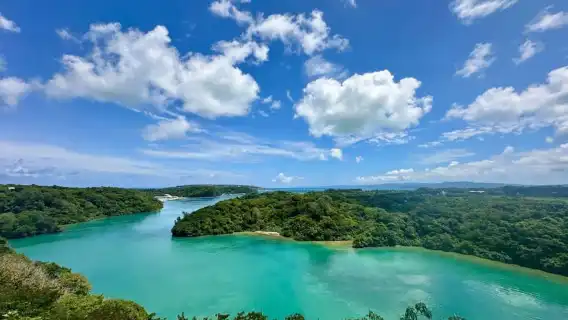 Naha: North Okinawa Sightseeing Tour & Churaumi Aquarium