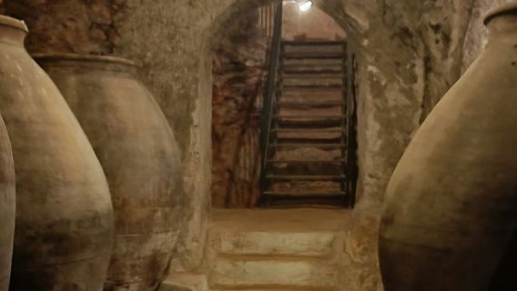 Alcalá de Henares: Geführte Stadt- und Weintour ab Madrid + Weinprobe