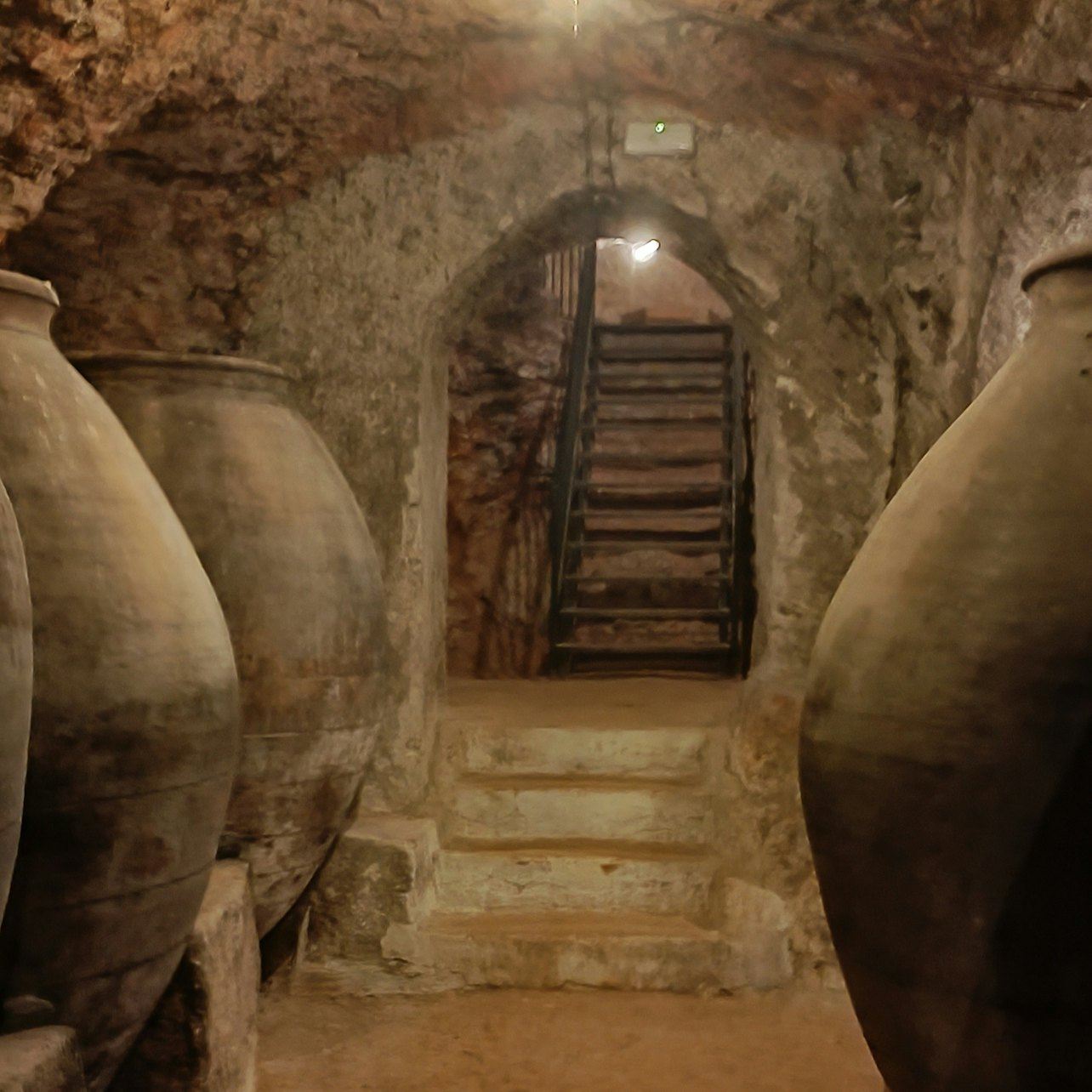 Alcalá de Henares: visita guidata della città e delle cantine da Madrid + degustazione di vini