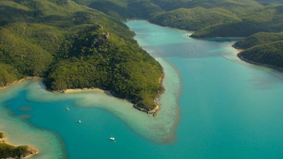 เกาะฮุก: ทัวร์ล่องเรือจากแอร์ลีบีช + ดำน้ำตื้น + อาหารกลางวัน