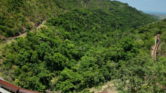 Self-Drive Kuranda Experience: Skyrail Rainforest Cableway & Scenic Rail