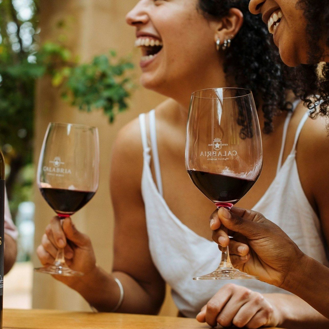 헌터 밸리: 시드니 출발 당일 가이드 투어 + 점심 식사 및 와인 + 와이너리 방문