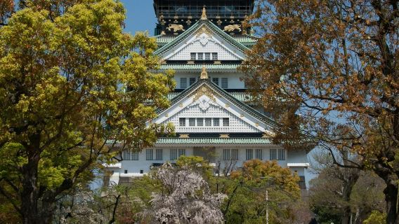 Osaka Castle: Guided Walking Tour