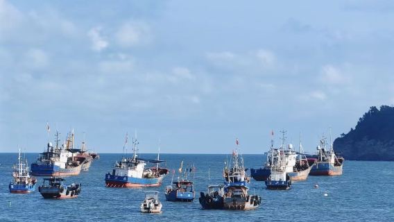蒼南168黃金海岸線一日遊·龍台背+炎亭+月亮灣+漁寮+霞關
