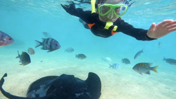 陵水分界洲島體驗潛水PADI 基礎自由潛員2小時【PADI魟魚專業浮潛體驗課 教練1v4 送拍攝和證書 含上島船票】