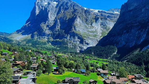 Switzerland local/Chinese-speaking guide/ground guide/business interpreter/seamless communication