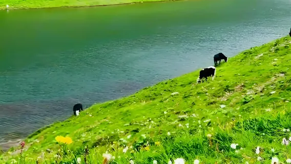 رحلة يومية من تشنغ دو إلى وادي آر | مشي خفيف | سر سيتشوان الغربية | دليل إنجليزي اختياري | لا تشمل تذاكر الدخول