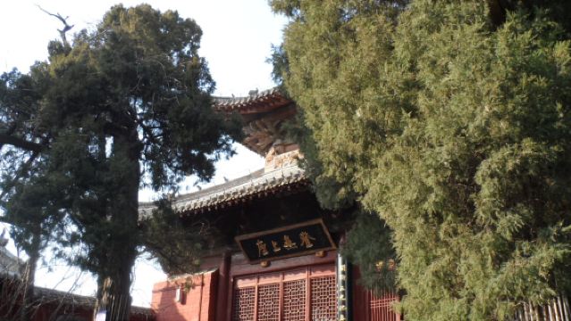 White Horse Temple (Includes Admission Ticket + Guide) + Phoenix Dance Divine Capital Show 1-Day Tour (Complimentary Jiuzhou Pool Admission Ticket)