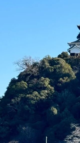 Nagoya Magome + Tsumago-juku + Ena Ravine Large Bridge Observation Deck + Inuyama Castle 1-day tour