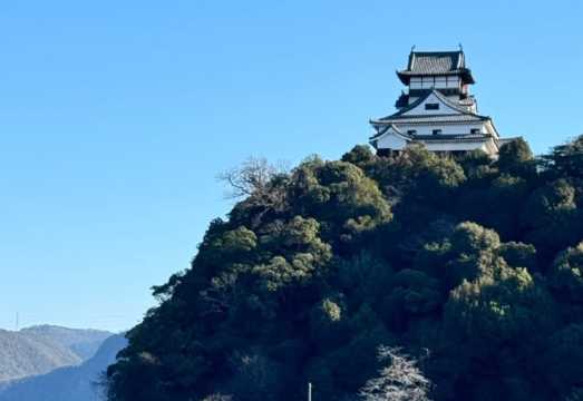 Nagoya Magome + Tsumago-juku + Ena Ravine Large Bridge Observation Deck + Inuyama Castle 1-day tour