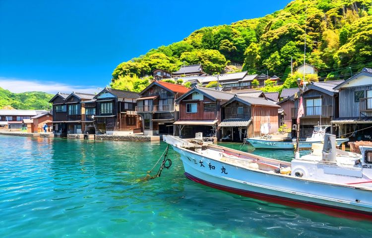 Kyoto or Osaka departure. Sea of Kyoto Amanohashidate, Chion-ji Temple, Ine Fishing Village 1-day tour
