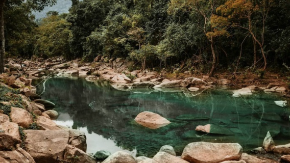 Grupo privado | Playa Doc Let, Campos de Sal y Aventura Ecológica Ba Ho | desde la ciudad de Nha Trang