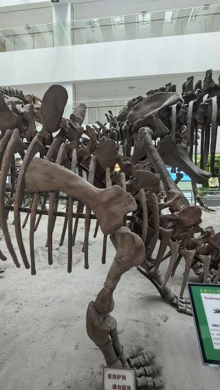 Explore geological treasures | China University of Geosciences guide + Yifu Museum + canteen delicacies