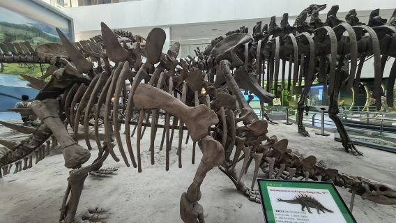 Explore geological treasures | China University of Geosciences guide + Yifu Museum + canteen delicacies