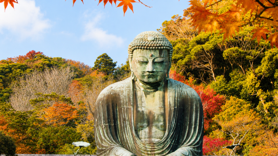 Kanagawa Tsurugaoka Hachimangu + Kotoku-in + Hasedera + Enoshima + Komachi St 1-day tour