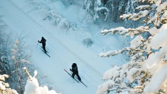 Rovaniemi: Cross-Country Skiing Adventure with Guide