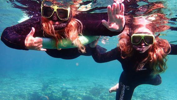 Crystal River: VIP Manatee Swim w/ In-water Photographer