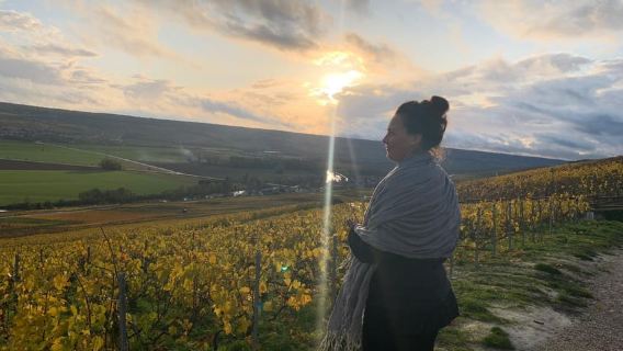 From Reims: Morning Champagne Tour and Tastings