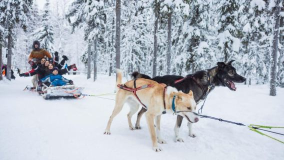 Rovaniemi: Experiência com Huskies e Renas com Passeio de Moto de Neve
