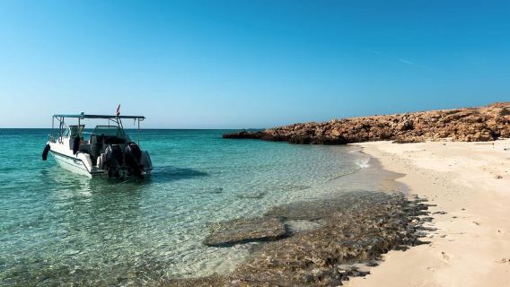 Snorkeling with turtles at Ad Daymaniyat Islands