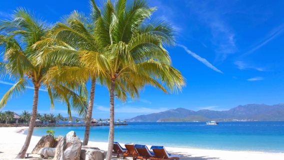 Vietnam Nha Trang | Bytransport/punkt-til-punkt transport i byområdet/Perleø/Dalat/Mui Ne/Paradisbugten