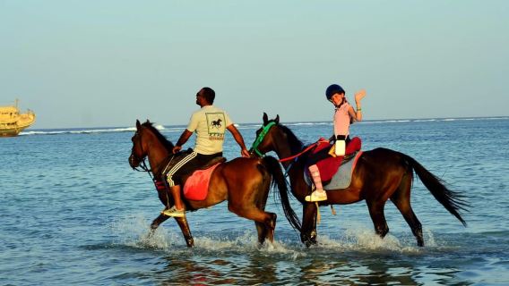 Marsa Alam: Sunrise Horseback with Breakfast