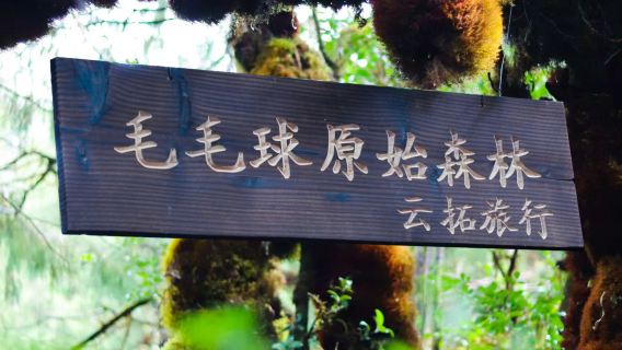 Yuntu Travel mendaki Hutan Dara Maomaoqiu 3-5-7 kilometer + Dapur hutan lawatan sehari