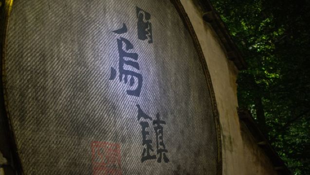 嘉興烏鎮西柵+西柵夜遊純玩一日遊【晚出發 上門接】