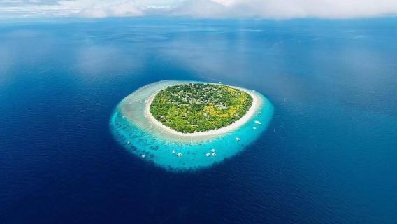 Excursión de un día a la Isla de Panglao en Filipinas [avistamiento de delfines + Balicasag + snorkel + servicio de coche privado con conductor y barco incluido]