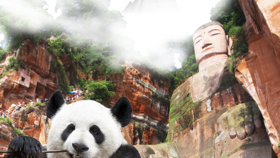 Private All-Inclusive Tour: Chengdu Panda & Leshan Buddha Boat Trip with Lunch