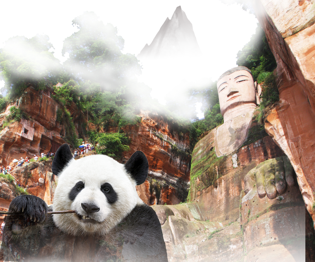 ทริปส่วนตัวแบบรวมทุกอย่าง: ศูนย์วิจัยและเพาะพันธุ์แพนด้ายักษ์เฉิงตูและล่องเรือชมพระพุทธรูปเล่อซาน พร้อมอาหารกลางวันสุดพิเศษ