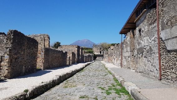 From Rome: Day Trip to Pompeii with Live Guide