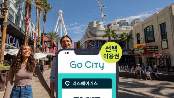 Go City 라스베이거스 선택 입장권