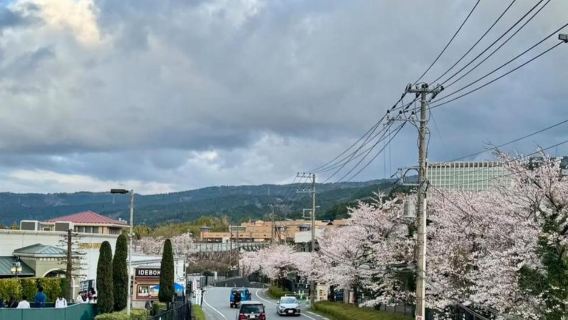 日本東京江之島+鎌倉高校前站+鶴岡八幡宮+鎌倉大佛一日遊