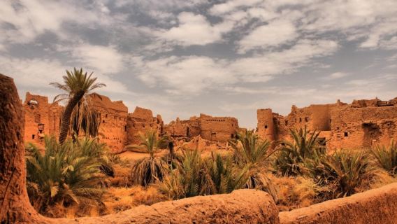 Full day Ushayger tour with lunch From Riyadh