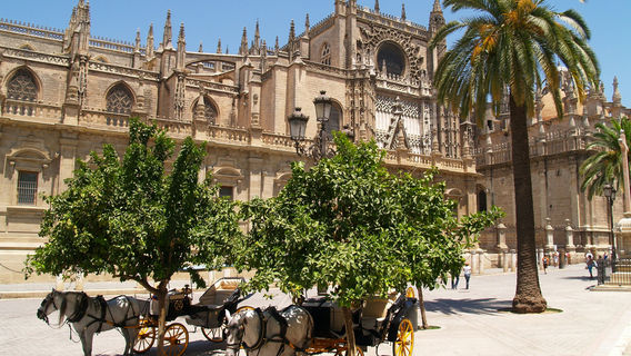 Seville