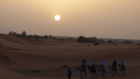 MerzougaTours