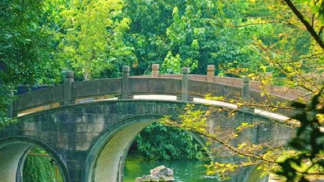 Однодневный тур по Ханчжоу: озеро Сиху + Музей провинции Чжэцзян + улица Цинхэфан + мост Гунчэнь - доступно обслуживание на китайском и английском языках