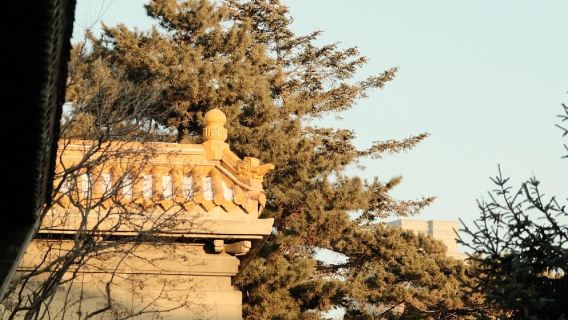 長春日遊