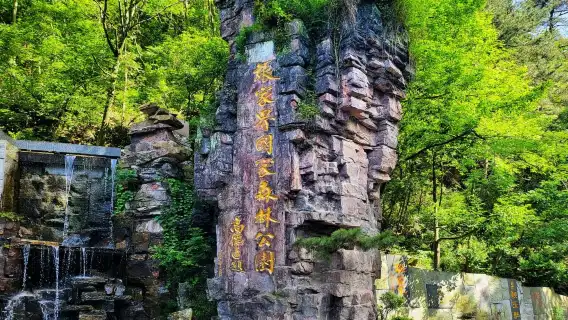 張家界國家森林公園-寶峰湖-千古情日遊