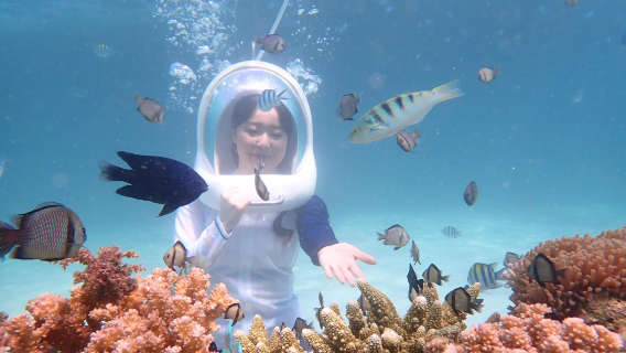 Boracay Helmet Diving Experience