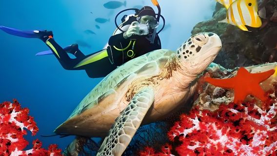 Sri Lanka|Pigeon Island Trincomalee Private Snorkeling Tour + GoPro Underwater Photography