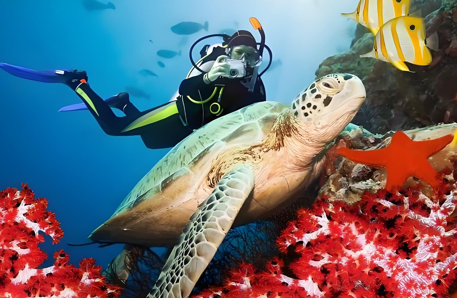 Sri Lanka|Pigeon Island Trincomalee Private Snorkeling Tour + GoPro Underwater Photography