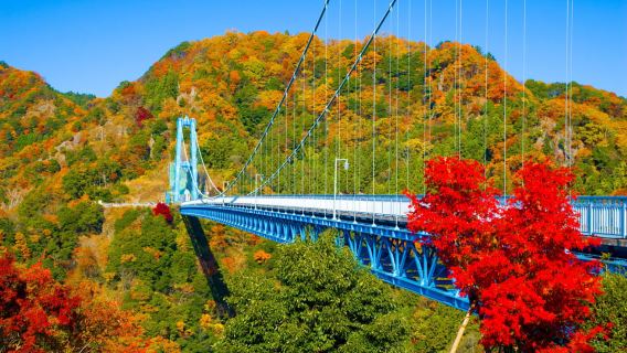 Tokyo: Công viên bờ biển Hitachi mùa thu, Thác Fukuroda & Ryujin