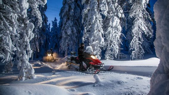 Rovaniemi: Snowmobile Safari & Campfire Evening Escape