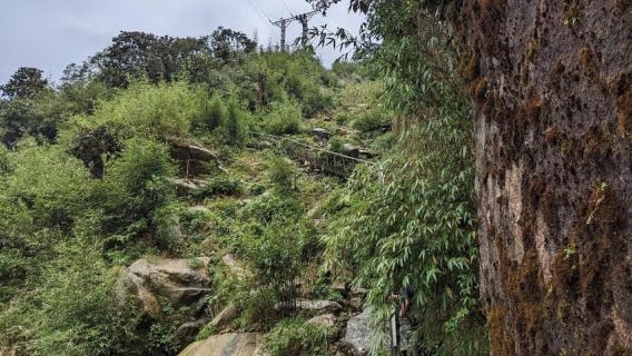 Natural. The 1D Fansipan peak .HmongSisterHouse&Trekking