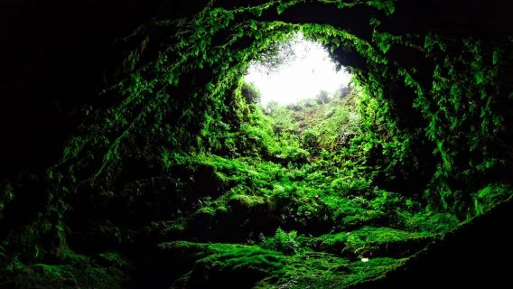 Full-day tour: The best of Terceira Island