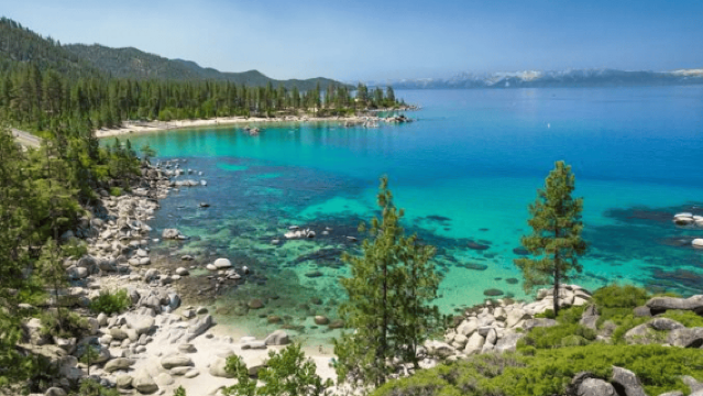 Lake Tahoe: Guided Scenic Bike Experience